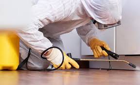 Best Pest Exclusion Services  in Horton, KS